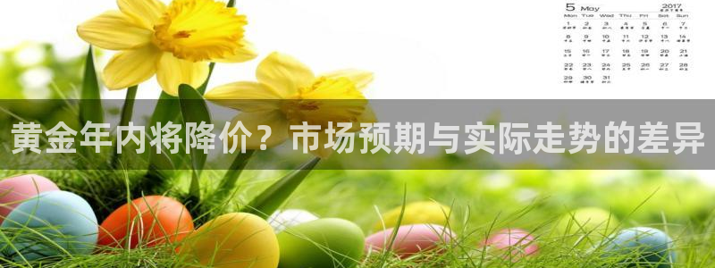 壹号玩家app下载