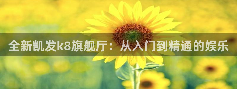 南宫NGapp