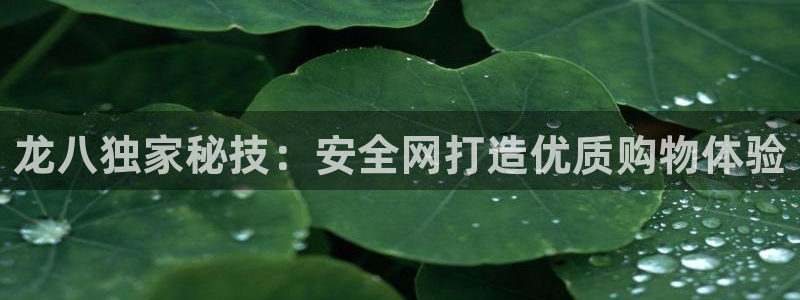 南宫NG怎么下载：龙八独家秘技：安全网打造优质购物体验