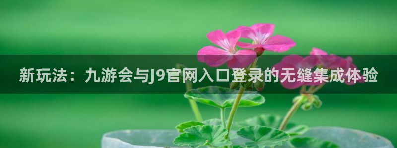 南宫NG网站：新玩法：九游会与J9官网入口登录的无缝集成体验