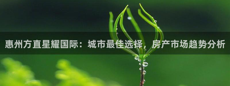 南宫NG充值怎么退款：惠州方直星耀国际：城市最佳选择，房产市场趋势分析