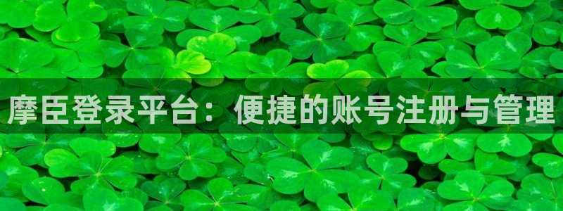南宫NG加拿大官网：摩臣登录平台：便捷的账号注册与管理
