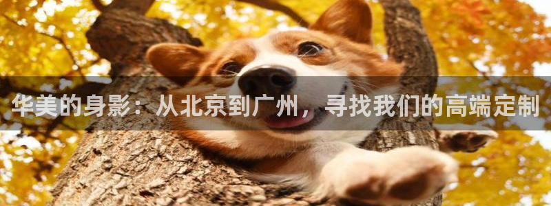 南宫NG游戏官网入口：华美的身影：从北京到广州，寻找我们的高端定制