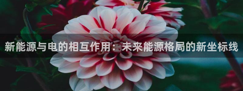 南宫NG是什么平台：新能源与电的相互作用：未来能源格局的新坐标线