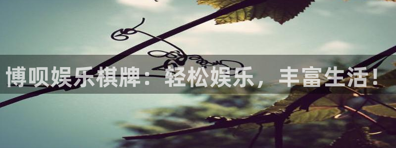 南宫NGapp最新版：博呗娱乐棋牌：轻松娱乐，丰富生活！