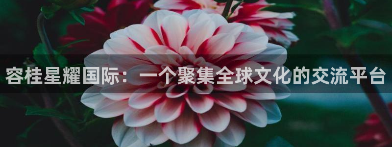 壹号官网app下载安装：容桂星耀国际：一个聚集全球文化的交流平台