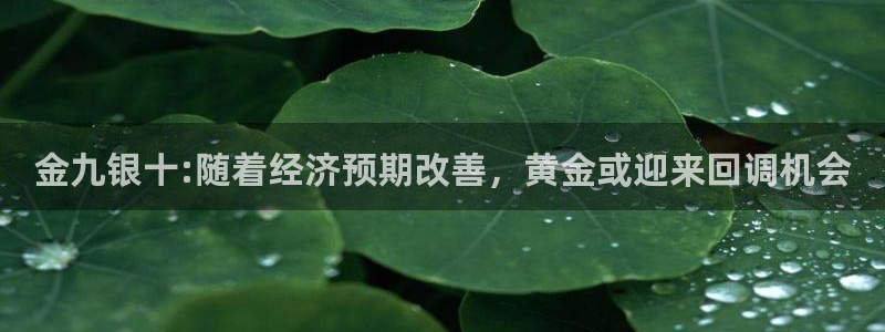 南宫NG游戏：金九银十:随着经济预期改善，黄金或迎来回调机会