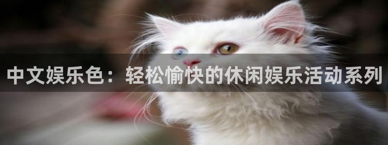 南宫NG注册网站链接：中文娱乐色：轻松愉快的休闲娱乐活动系列