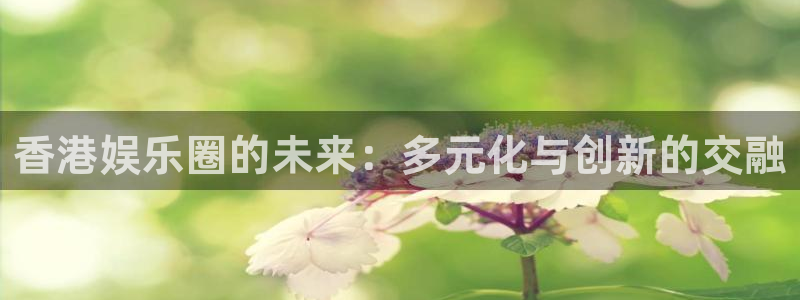 南宫NG平台官方入口：香港娱乐圈的未来：多元化与创新的交融
