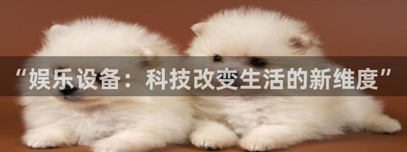 南宫NG注册入口与教程：“娱乐设备：科技改变生活的新维度”