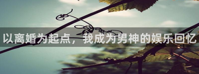 南宫NG哪个游戏好爆：以离婚为起点，我成为男神的娱乐回忆