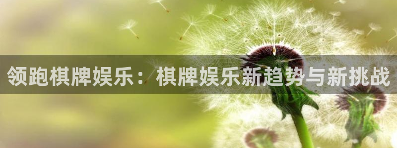 南宫NG下载并安装：领跑棋牌娱乐：棋牌娱乐新趋势与新挑战