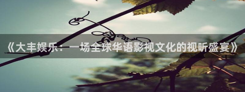 南宫NG账号注册入口：《大丰娱乐：一场全球华语影视文化的视听盛宴》