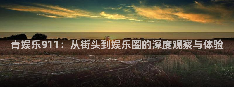 南宫NG游戏官网平台：青娱乐911：从街头到娱乐圈的深度观察与体验