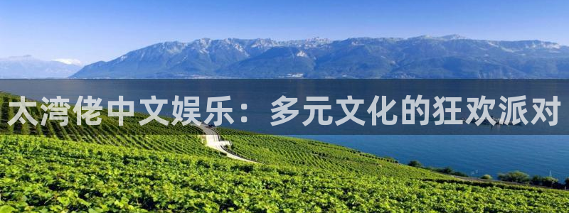 壹号官方app下载安装：太湾佬中文娱乐：多元文化的狂欢派对