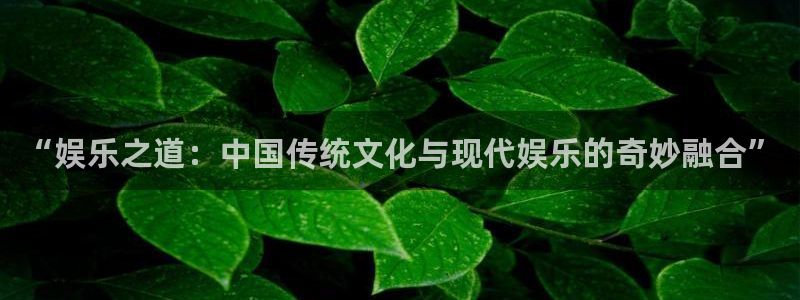 南宫NG平台最新版本下载：“娱乐之道：中国传统文化与现代娱乐的奇妙融合”