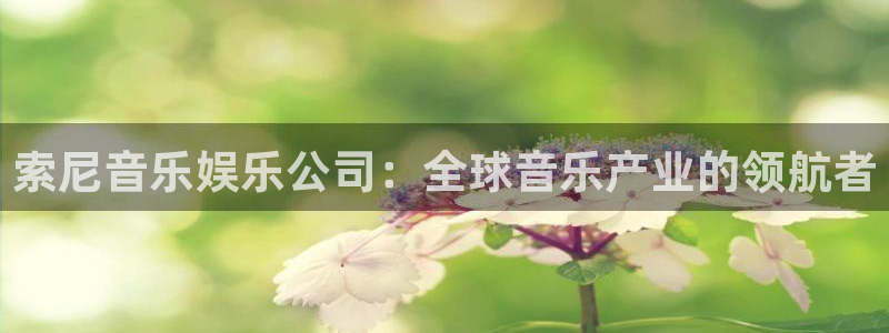 南宫NGapp注册地址：索尼音乐娱乐公司：全球音乐产业的领航者