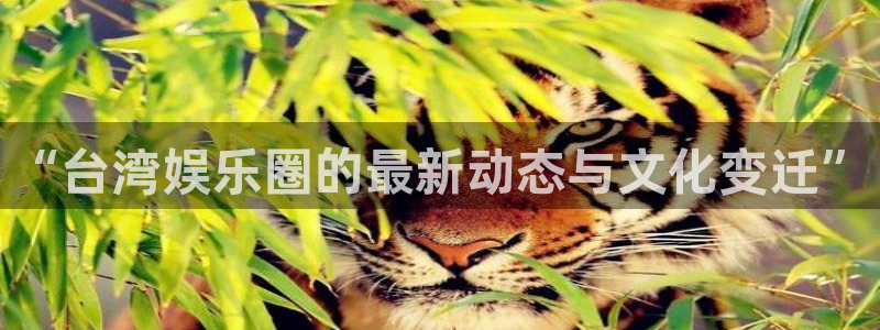 南宫NG充值怎么退款：“台湾娱乐圈的最新动态与文化变迁”
