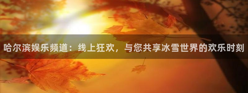 南宫NG网站：哈尔滨娱乐频道：线上狂欢，与您共享冰雪世界的欢乐时刻