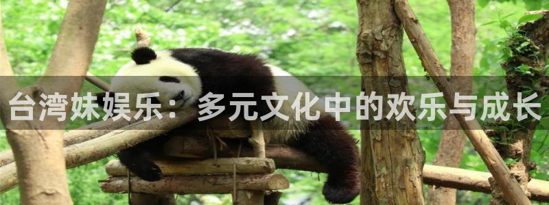 南宫NG官网：台湾妹娱乐：多元文化中的欢乐与成长