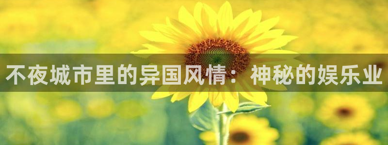 南宫NG注册链接入口：不夜城市里的异国风情：神秘的娱乐业