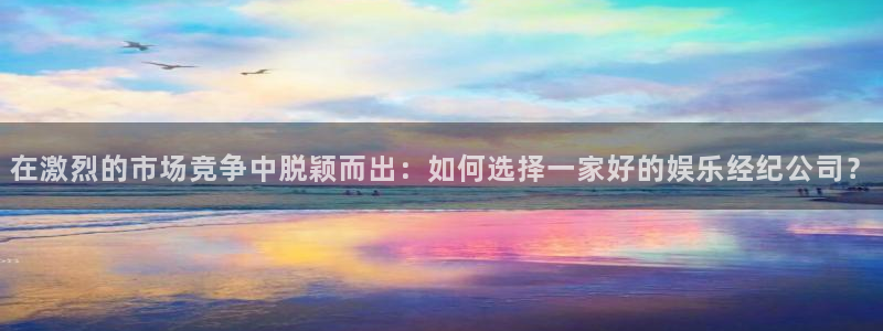 南宫NG软件：在激烈的市场竞争中脱颖而出：如何选择一家好的娱乐经纪公司？