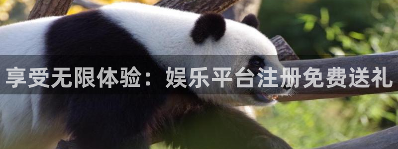 南宫NG哪个游戏好爆：享受无限体验：娱乐平台注册免费送礼