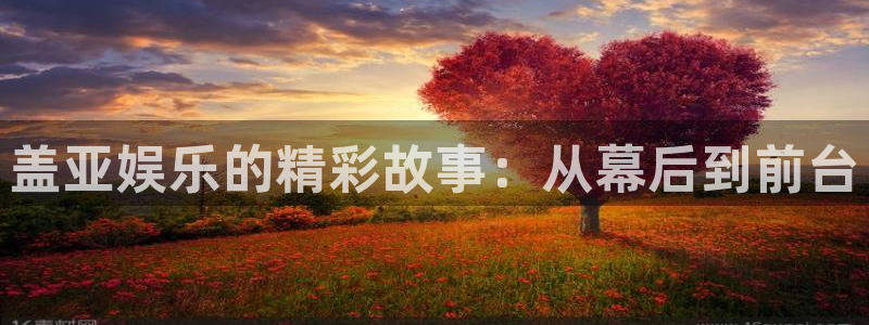 南宫NG网站：盖亚娱乐的精彩故事：从幕后到前台