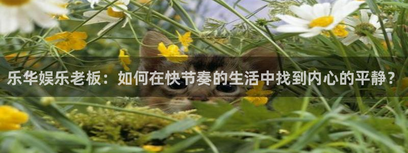 南宫NGapp
