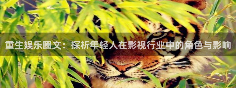 南宫NG官网下载