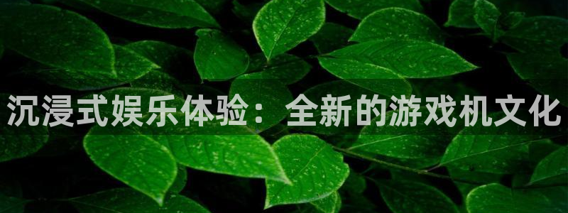 南宫NG是大平台吗：沉浸式娱乐体验：全新的游戏机文化