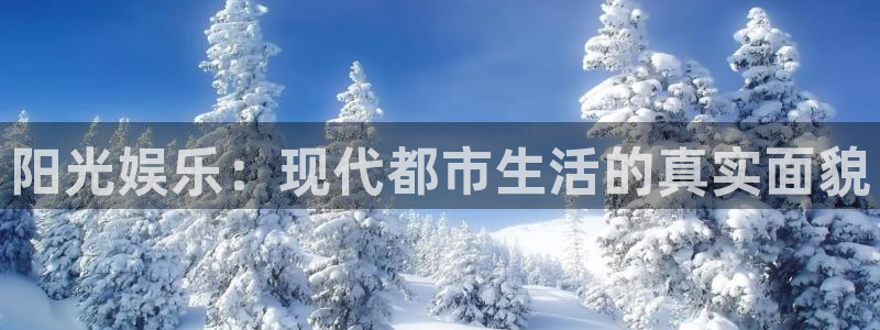 南宫NGapp官网下载苹果：阳光娱乐：现代都市生活的真实面貌