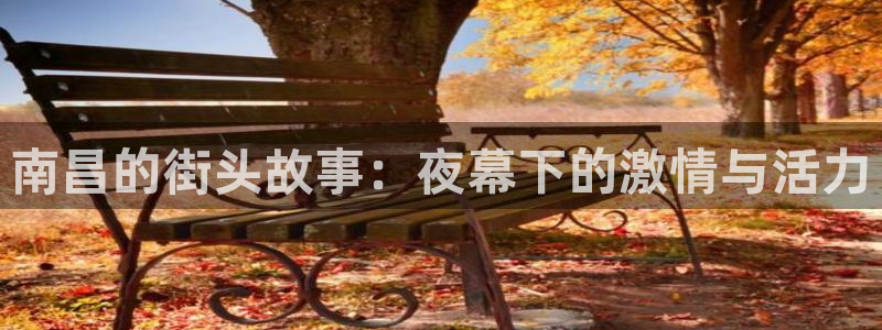南宫NG官网版下载：南昌的街头故事：夜幕下的激情与活力