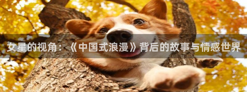 南宫NG网页版：女星的视角：《中国式浪漫》背后的故事与情感世界