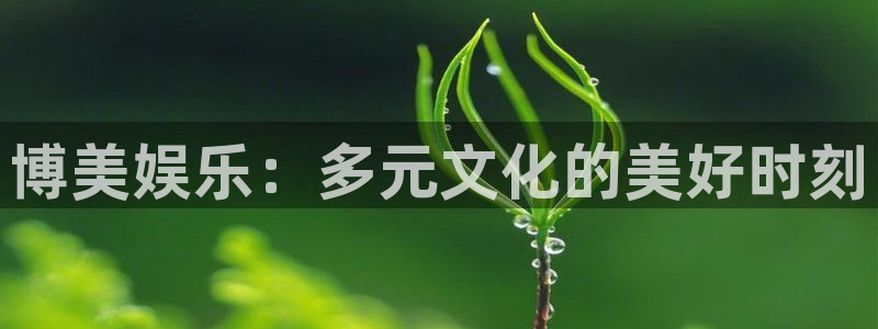 南宫NG官网下载：博美娱乐：多元文化的美好时刻