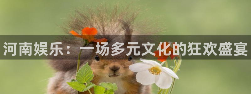 南宫NG游戏官网版：河南娱乐：一场多元文化的狂欢盛宴