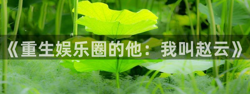 南宫NG,apk.：《重生娱乐圈的他：我叫赵云》