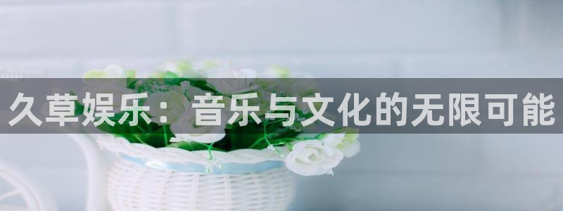南宫南宫NG：久草娱乐：音乐与文化的无限可能